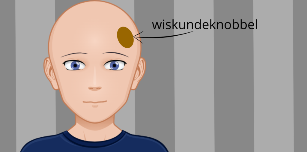 wiskundeknobbel